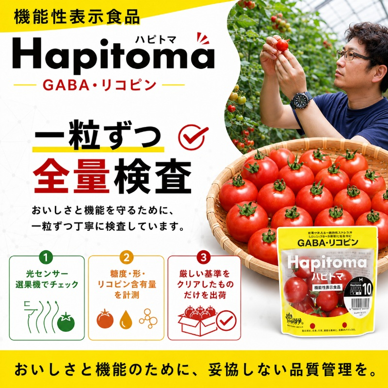 【12ヶ月定期便】機能性表示食品 Hapitoma ハピトマ 訳あり（1.8kg）【配送不可：北海道・沖縄・離島】健康 ヘルシー 人気 厳選  野菜 緑黄色野菜 産地直送 ダブル成分 GABA リコピ