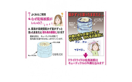 【ブラウン系の髪に】医薬部外品 育毛・発毛促進剤 ドライドライド クイックインパクト 120mL