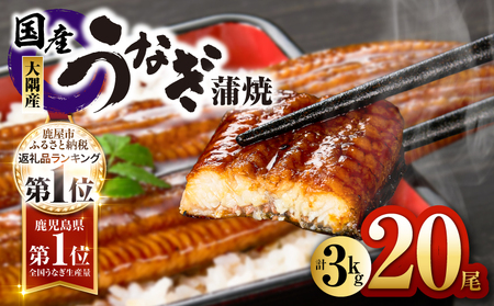727-1 鹿児島県大隅産うなぎ蒲焼20尾（3kg） KN007-020 うなぎ ウナギ 鰻 うなぎ蒲焼 鰻蒲焼き ウナギ蒲焼 惣菜 総菜 魚類 魚貝類 魚介類 海産物 鰻重 うな重 ひつまぶし 鰻丼 土用の丑 魚 冷凍 大隅地区養まん漁業協同組合 ふるさと納税 鹿児島 鹿屋市 おすすめ ランキング プレゼント ギフト