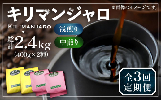 【豆でお届け】【全3回定期便】キリマンジャロ コーヒー 2種 ( 浅煎り フルーツフレーバー ＆ 中煎り チョコレートフレーバー )《豊前市》【稲垣珈琲】珈琲 コーヒー 豆 粉 [VAS191]