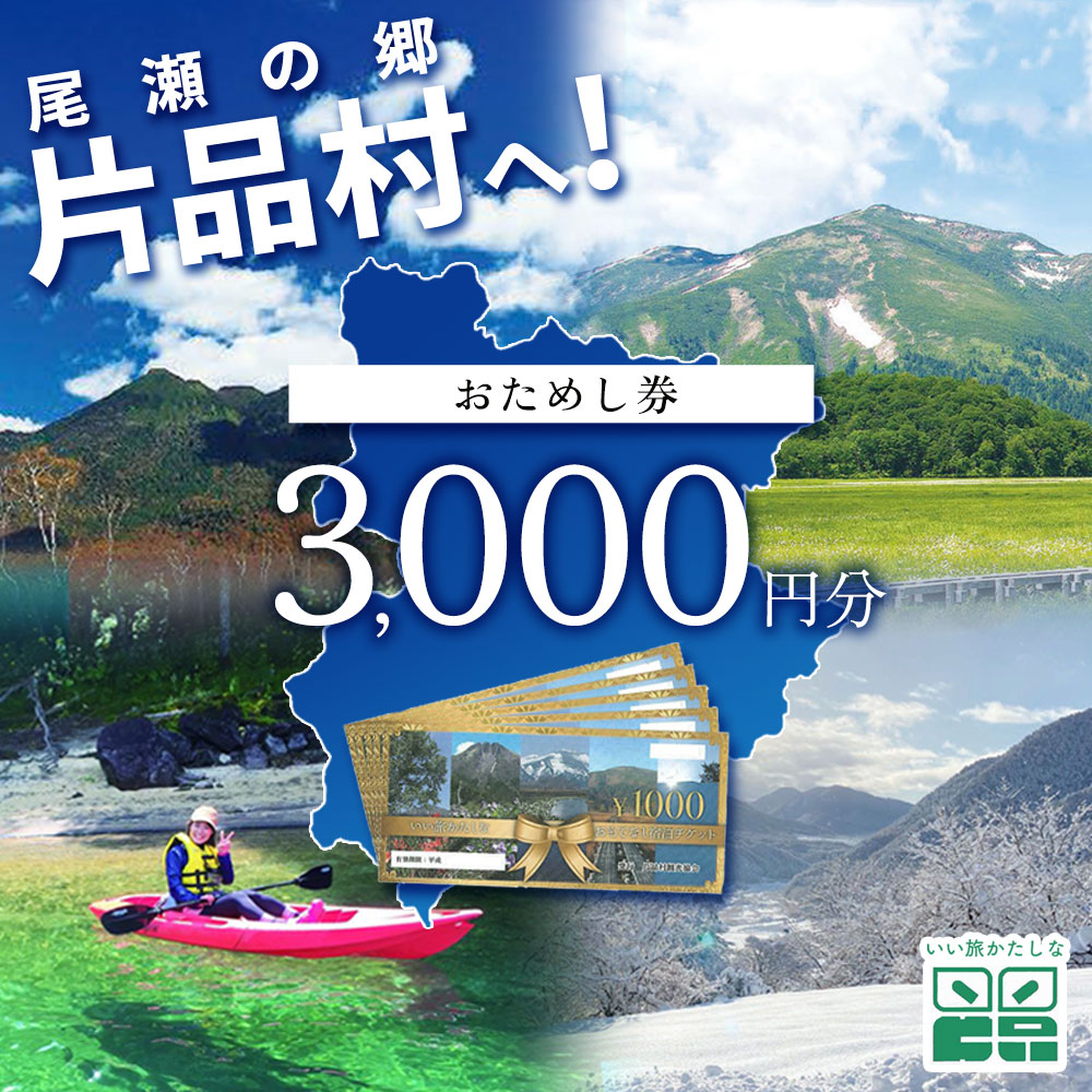 【ふるさと納税】おためし券 (道の駅 尾瀬かたしな・花の駅 花咲の湯・寄居山温泉 ほっこりの湯) 3,000円分 尾瀬 旅行 旅行券 宿泊 宿泊券 トラベル トラベルクーポン 観光