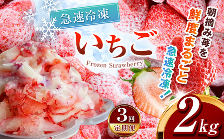 【定期便3回】冷凍いちご とちあいか 2kg カット済み 訳あり