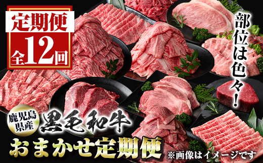 
                  G01001 ＜定期便・全12回＞鹿児島県産黒毛和牛おまかせ定期便 鹿児島 牛肉 黒毛和牛 シャトーブリアン サーロインステーキ リブロース カルビ 焼肉 すき焼き 定期便 【新村畜産】
                