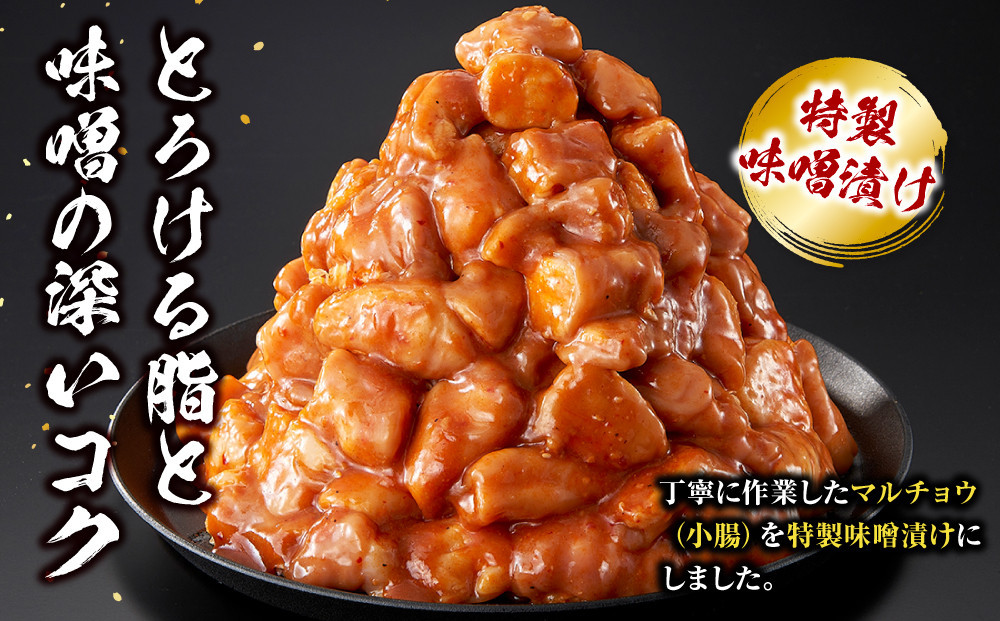＜訳アリ＞牛マルチョウ　特製味噌漬け　1.5kg(300g×5）【2026年3月発送】