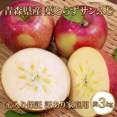【26年11月から発送】平均糖度13度以上!  蜜入り葉とらずサンふじ 約3kg 訳あり 青森りんご【配送不可地域：離島・沖縄】【1694670】
