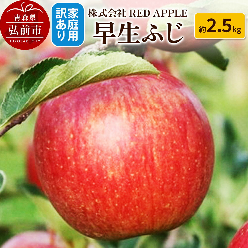 【ふるさと納税】りんご【訳あり】家庭用 早生ふじ 約2.5kg