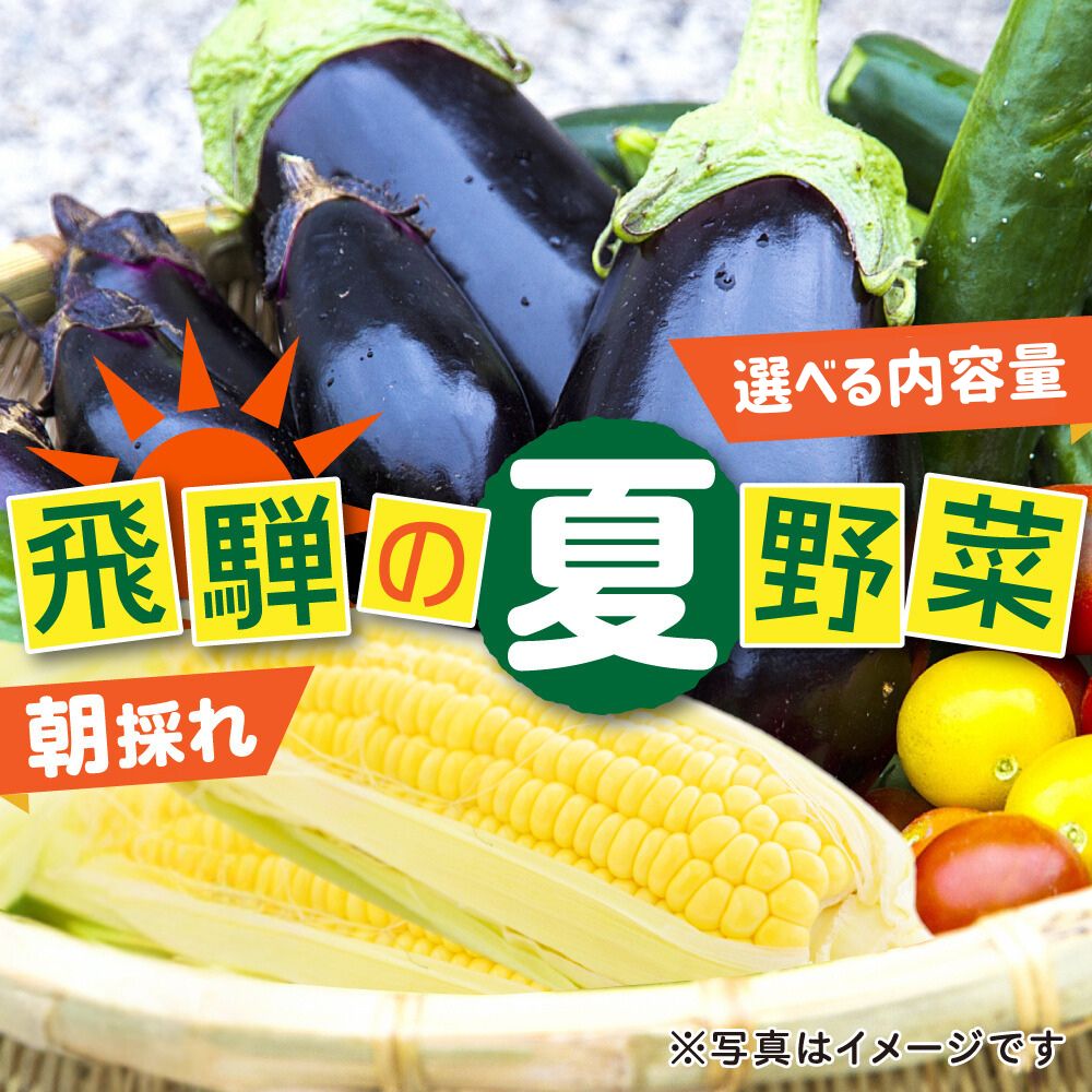 【ふるさと納税】先行予約 令和7年産《2024年7月下旬〜9月下旬発送》夏秋 野菜たっぷり詰め合わせ セット 3品以上 約4kg 朝採れ 産地直送 [Q1051]8000円 8千円 10000円 1万円