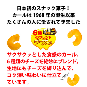 【数量限定】 カール チーズあじ 10袋 ×1ケース │ スナック菓子 西日本限定 まとめ買い お菓子 おつまみ イベント パーティー 明治 meij 愛媛県 松山市 【SNE009_x041】 カー