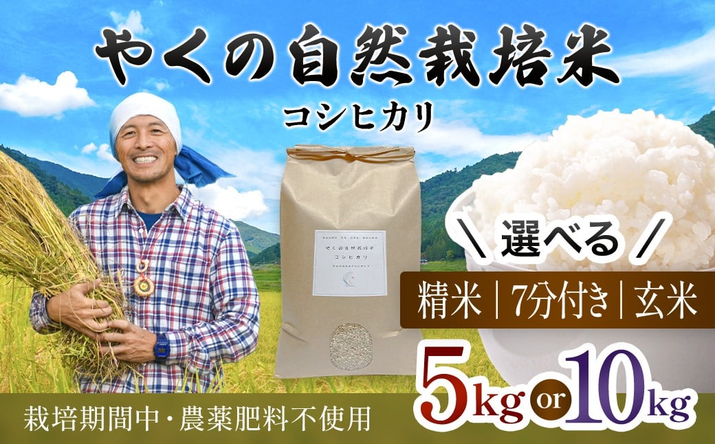 
            令和8年産先行予約 やくの自然栽培米 コシヒカリ精米 （選べる精米方法・内容量：玄米・7分づき・白米 / 5kg・10kg ）  / 自然栽培米 自然栽培 こめ コメ 米 玄米 7分づき 白米 精米 コシヒカリ こしひかり お米 ごはん やくの 夜久野 京都府 福知山市 FCEV001-v
          