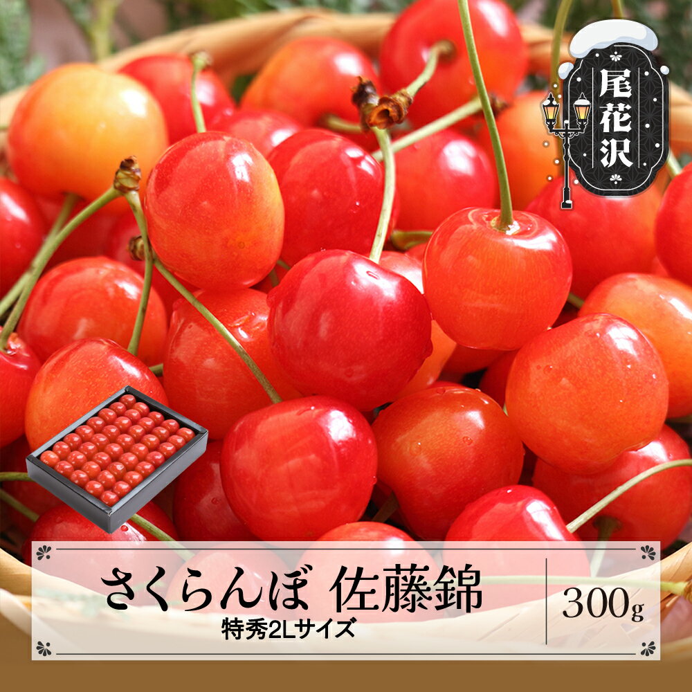 【ふるさと納税】先行予約 さくらんぼ 佐藤錦 特秀2Lサイズ プレゼント ギフト 化粧箱鏡詰め 300g 2026年産 令和8年産 山形県産 送料無料 サクランボ※沖縄・離島への配送不可