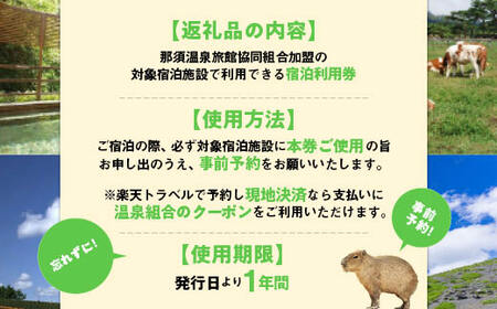 那須温泉旅館協同組合 ご宿泊利用券 135,000円分（3,000円×45枚）〔Ｎ-1〕｜宿泊 旅行 チケット 宿泊券 温泉 露天風呂 旅行券 ホテル 観光 国内旅行 那須 栃木県 那須町