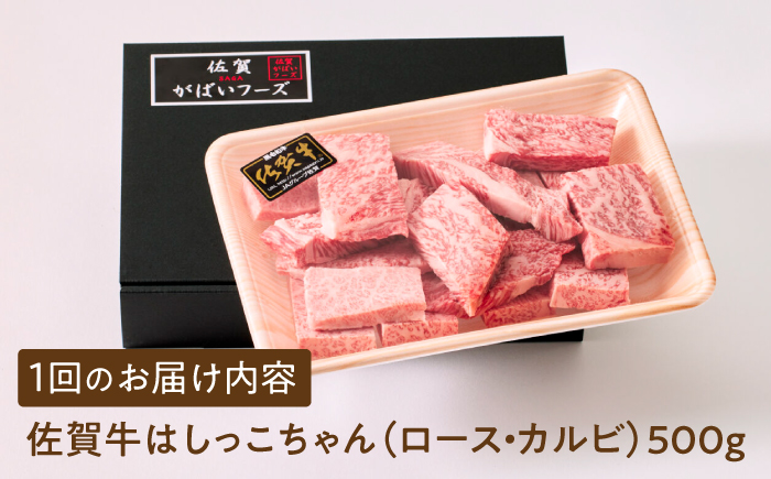 【いろいろな部位を楽しめて、食べごたえ抜群！】＜全12回定期便＞佐賀牛 はしっこちゃん 500g（ロース カルビ）【がばいフーズ】佐賀牛 A5  A4 焼肉 カレー [HCS043]