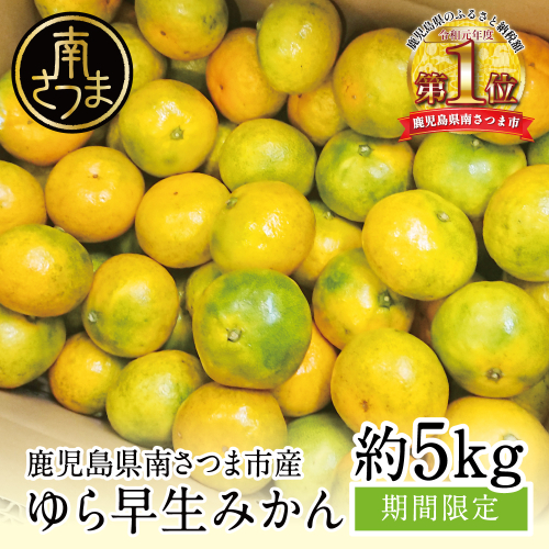 【先行受付：9月発送開始】鹿児島県産 ゆら早生みかん 約5kg ≪ 期間限定 ≫先行予約 柑橘 くだもの フルーツ 果実 みかん ミカン 蜜柑 温州みかん 極早生 わせみかん 甘味 ジューシー 鹿児島県南さつま市産 国産 国内産 JA南さつま
