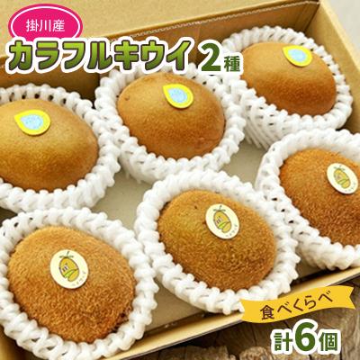 ふるさと納税 掛川市 掛川産カラフルキウイ2種6個セット 期間限定キウイフルーツカントリーJapan　5880