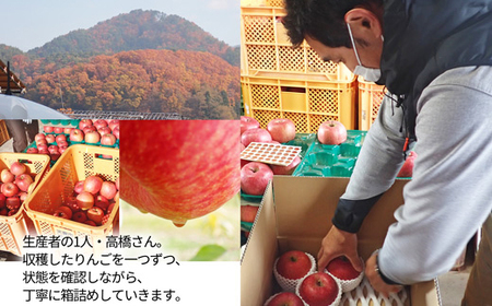 サンふじりんご 3kg (約10～12玉) 山形県産 ギフト箱入り 《先行予約 2024年11月中旬から発送開始》 FSY-0617
