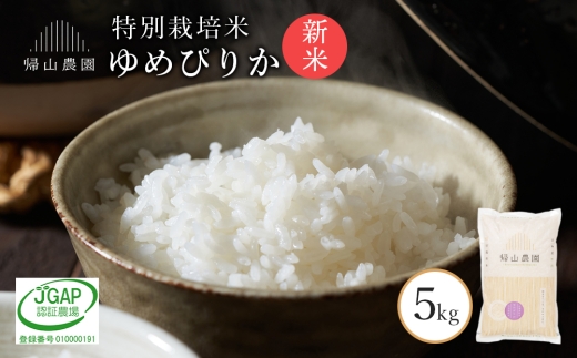 【新米予約】  ゆめぴりか5kg 特別栽培米産地直送《帰山農園》