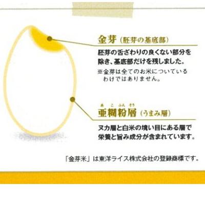 ふるさと納税 安来市 BG無洗米　金芽米にこまる5kg |  | 02