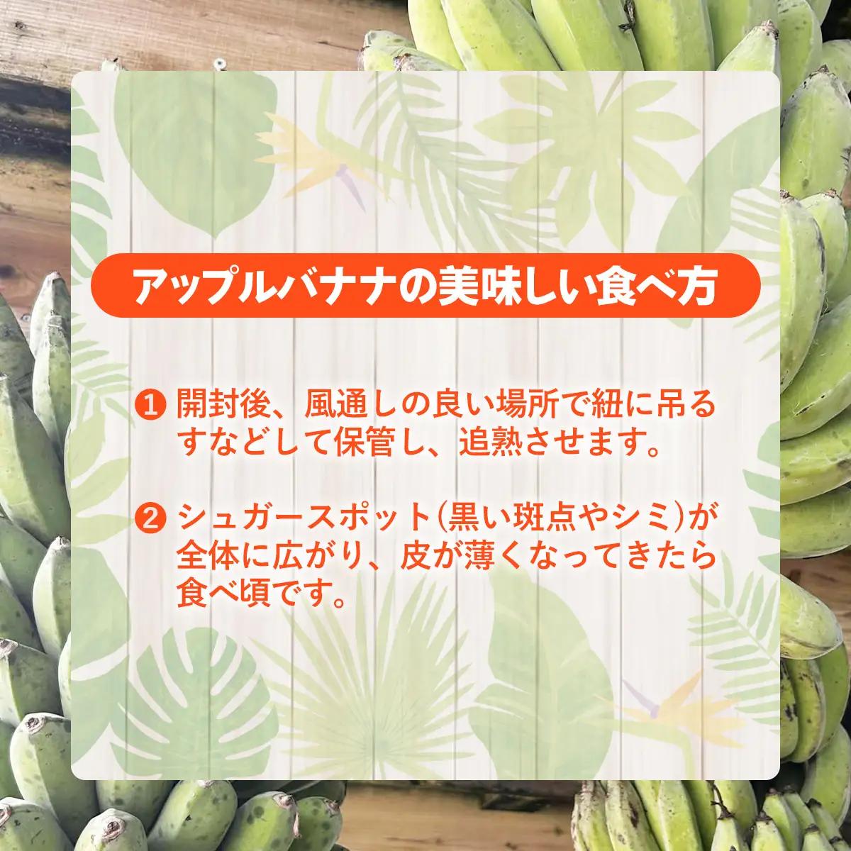 【特別提供中】 国産 希少種！南国フーズのアップルバナナ 約5kg - ばなな 小ぶり 沖縄県産 産地直送 朝食 おすすめ 八重瀬町【価格改定】