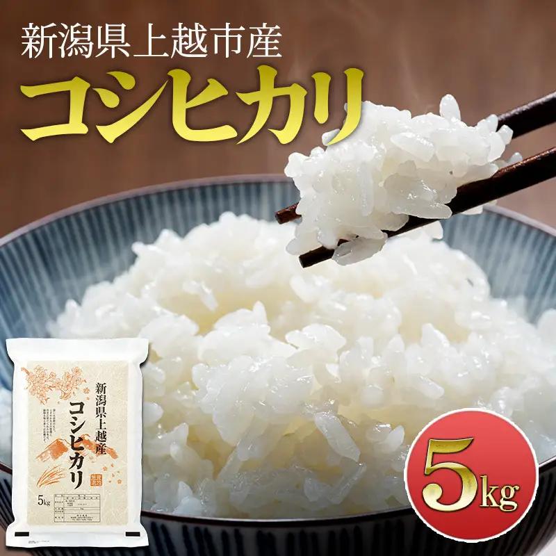 橋本農場 コシヒカリ 精米 5kg 上越産 コシヒカリ