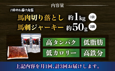 【全3回定期便】詰め合わせ 国内加工 ペット用 馬肉 切り落とし 1kg ペット用 馬刺しジャーキー 100g(50g×2) 【合同会社　長岡フーズ】[ZFR066]