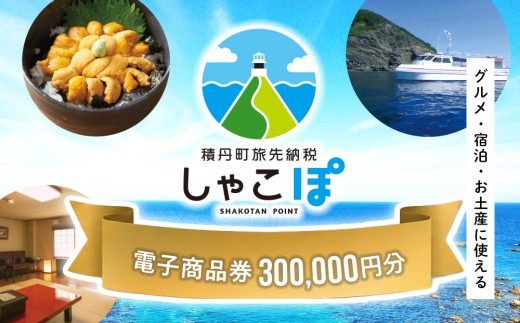 【ふるさと納税】積丹町e街ギフト 300,000円分