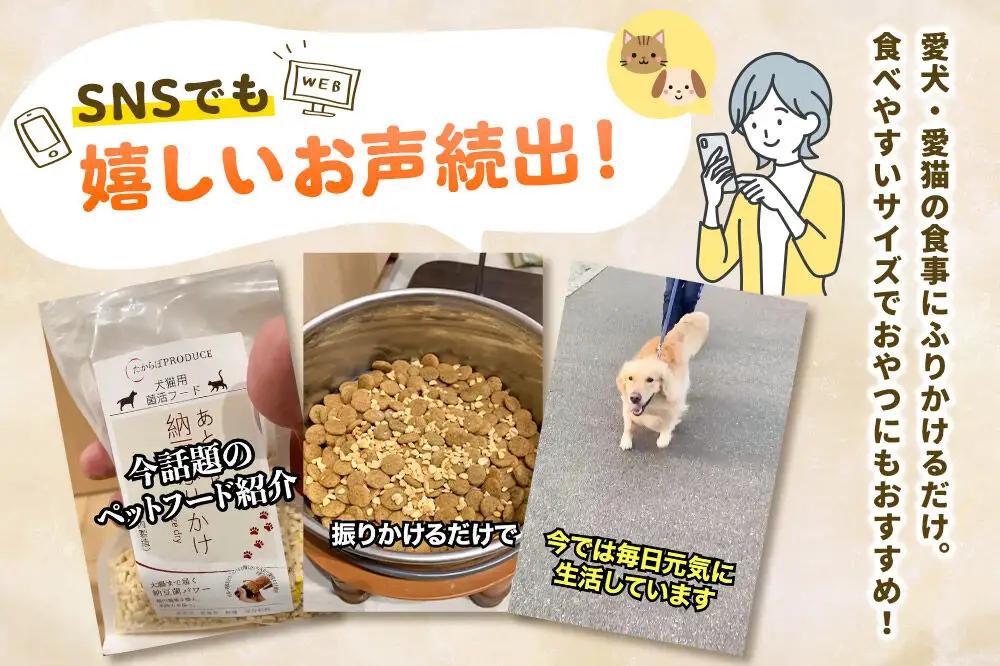 犬猫用 あとのせ納豆ふりかけ（レギュラーサイズ）50g×6個 計300g  ペット 秋田県 大仙市