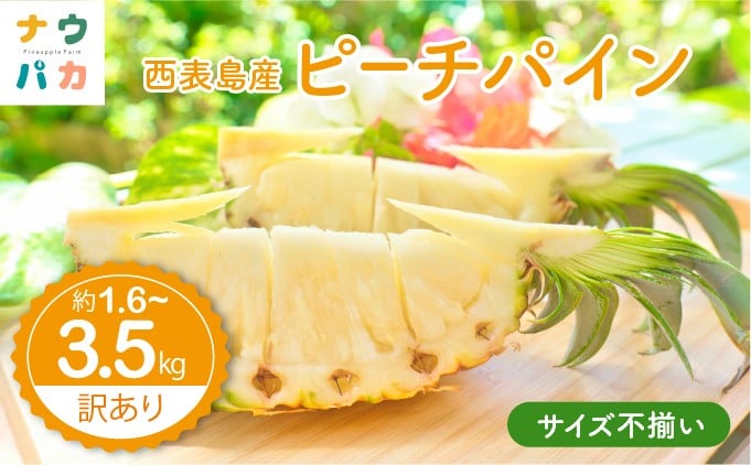 
            【内容量が選べる】【訳あり】☆新感覚の味わい☆ 桃のような芳醇な香りのする『西表島産 完熟ピーチパイン約1.6〜3.5kg
          