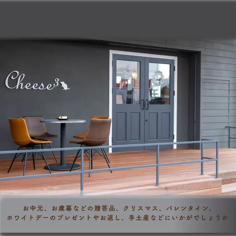 ベイクドチーズケーキ 3層のNYチーズケーキ 冷凍 ハーフ＆ハーフ CP001