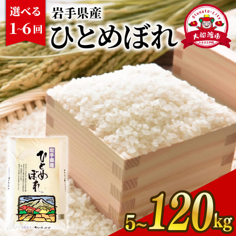 【ふるさと納税】 ひとめぼれ 選べる 5kg 10kg 20kg 精米 岩手県 大船渡市 岩手県産 米 白米 はくまい コメ rice ごはん 常温 常温保存 保存 農家 農作物 栄養 夕飯 大船渡 三陸 岩手県 国産 テレビ てれび TV 放送 番組 ニュース