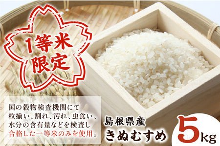 【令和5年産】石見産きぬむすめ5kg 白米 玄米 選択可 お取り寄せ 特産 お米 精米 ごはん ご飯 コメ 新生活 応援 準備 5キロ 【970】