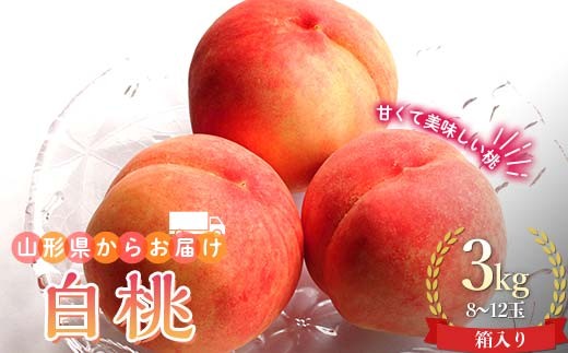 
                  山形県産 白桃 お任せ3kg 8～12玉箱入り もも モモ 桃 デザート フルーツ 果物 くだもの 果実 食品 山形県 FSY-0746
                
