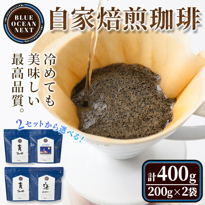 【ふるさと納税】＜豆・粉選べる＞＜2種から選べる＞冷めても美味しい最高品質の自家焙煎珈琲(計400g・200g×2袋セット)コーヒー 珈琲 ドリップ 自家焙煎珈琲 土鍋 フレーバー 完全オリジナル焙煎 飲み比べ プレゼント 贈答用 お取り寄せ【sm-CM002】【BLUE OCEAN NEXT】