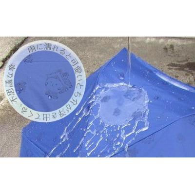 ふるさと納税 栃木市 とち介の雨日和〜雨の日が楽しみになる傘〜(折りたたみ傘) |  | 01