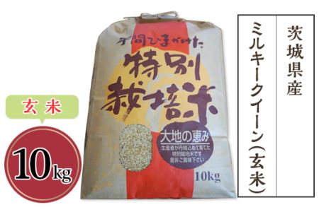 茨城県産ミルキークイーン（玄米）10kg【米 ミルキークイーン 米 茨城 米 茨城県産 米 産地直送 米 JA おにぎり お弁当 玄米 ストック お米 もちもち 下妻 発祥 人気 おすすめ】