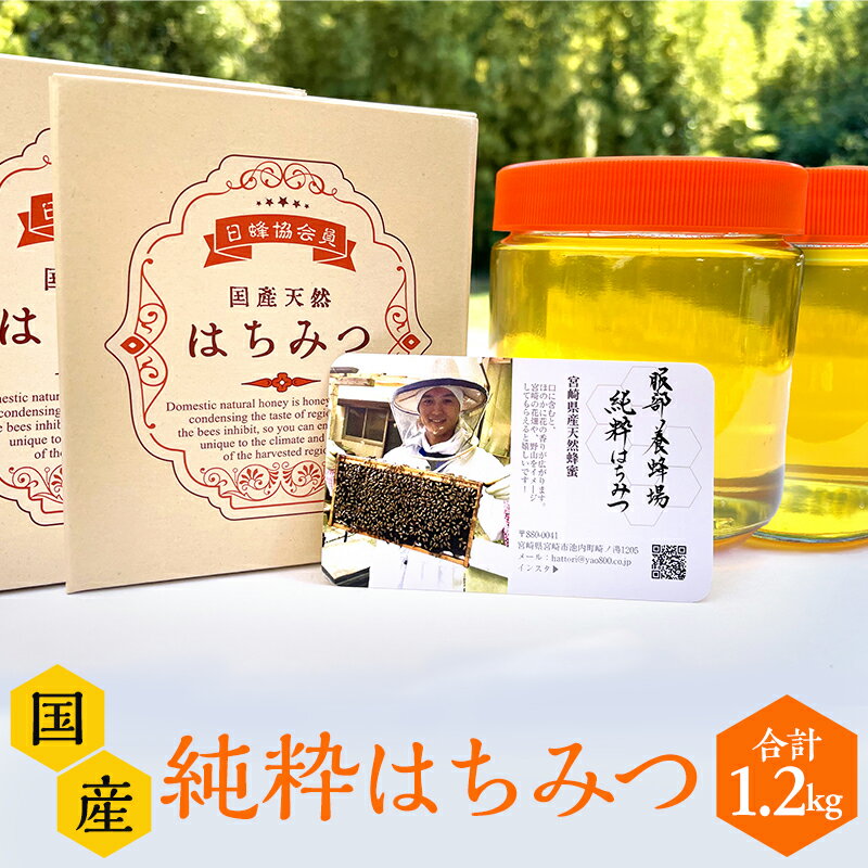 【ふるさと納税】 【数量限定】宮崎県産純粋ハチミツ(600g×2本) はちみつ 純粋はちみつ 天然はちみつ 宮崎県産 国産 養蜂 ハニー 調味料 調味 ジャム お土産 手土産 グルメ お取り寄せ 人気 おすすめ 贈答 贈り物 ギフト プレゼント お歳暮 お中元 宮崎県 宮崎市 送料無料