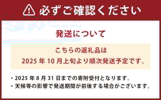 熊本県産新高梨 約7.5kg 【2025年10月上旬発送開始】 約8～10個 梨 なし ジャンボ梨