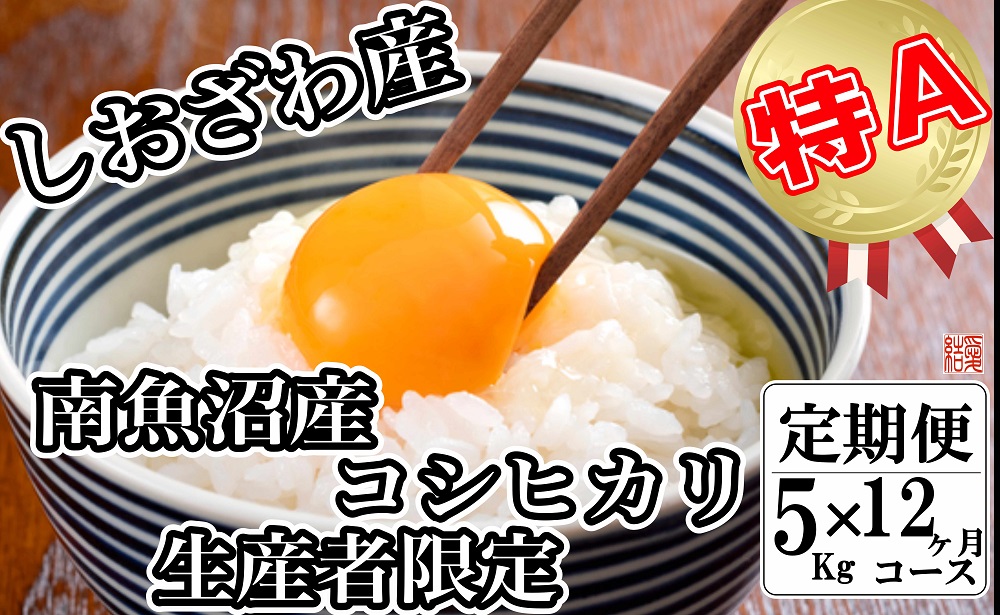 【令和7年産】【定期便／5kg×12ヶ月】生産者限定 契約栽培 南魚沼しおざわ産コシヒカリ【2025年10月上旬より順次発送予定】