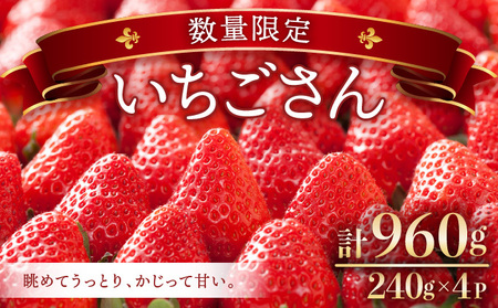 ☆赤い宝石☆佐賀県産いちごさん（240g✕4P）計960g【先行予約開始】2025年1月より順次発送【数量限定】A-66-AS