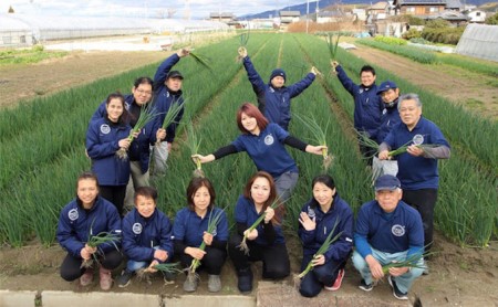 京都山城のねぎギフトセット[ねぎベーゼ,ねぎ味噌,ねぎジャム ] 九条ねぎ 京野菜　001-01