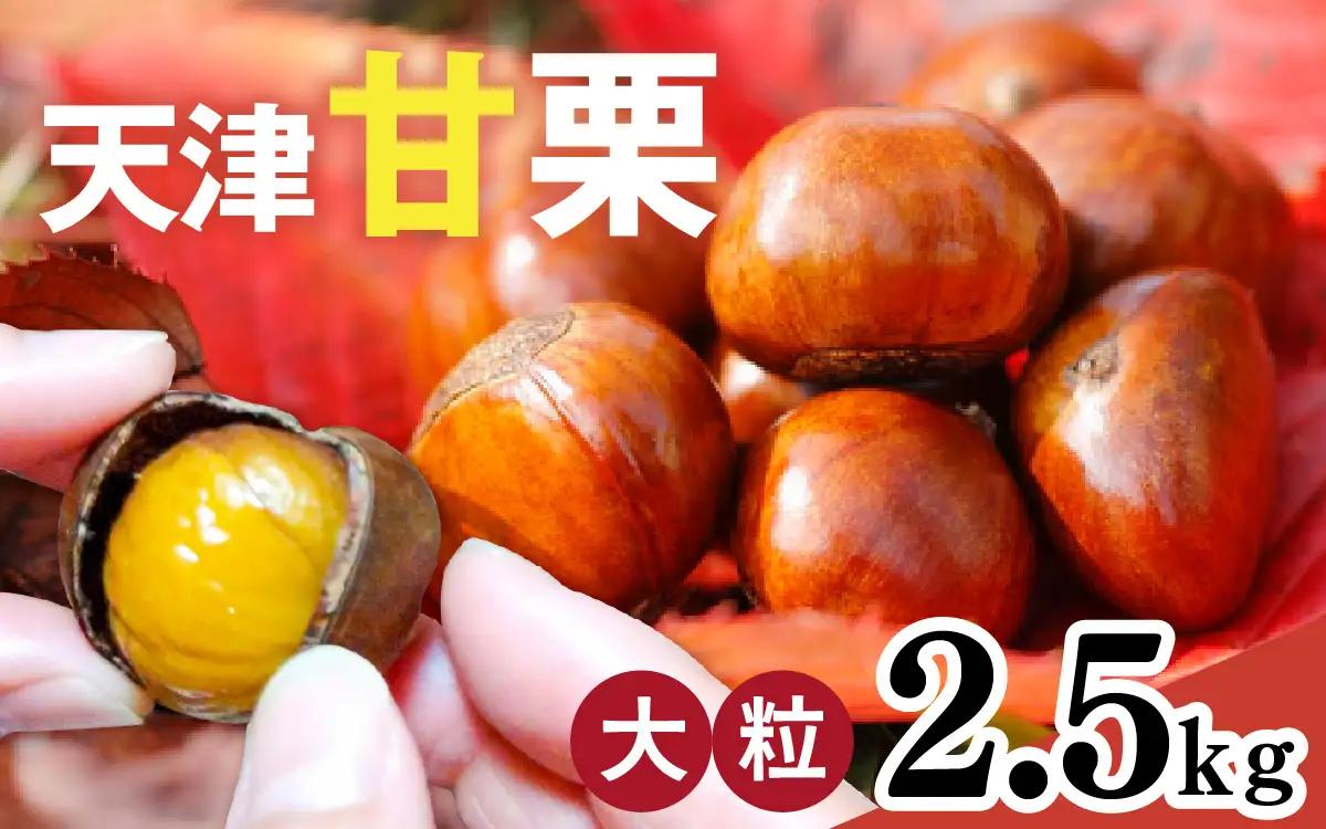 【先行予約】天津甘栗 2.5kg / 甘栗