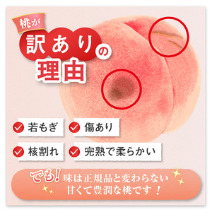 農家直送 訳あり 桃 約3kg 6～15玉【2025年発送】（YKI）A08-990 【桃 もも モモ 令和7年発送 期間限定 山梨県産 甲州市 フルーツ 果物】