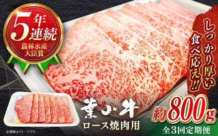 【全3回定期便】【葉山牛】800g　ロース焼肉用 ／ 牛肉 黒毛和牛 神奈川県 特産品【葉山牛ステーキレストラン 角車】[ASBD057]