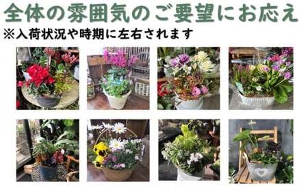 花屋が贈る季節の寄せ植え鉢 花 プレゼント 岩手県 北上市 C0230  （ パルテール )  花 観賞用 アレンジ プレゼント ギフト 誕生日 お祝い クリスマス 卒業 入学 バレンタインデー ホワ