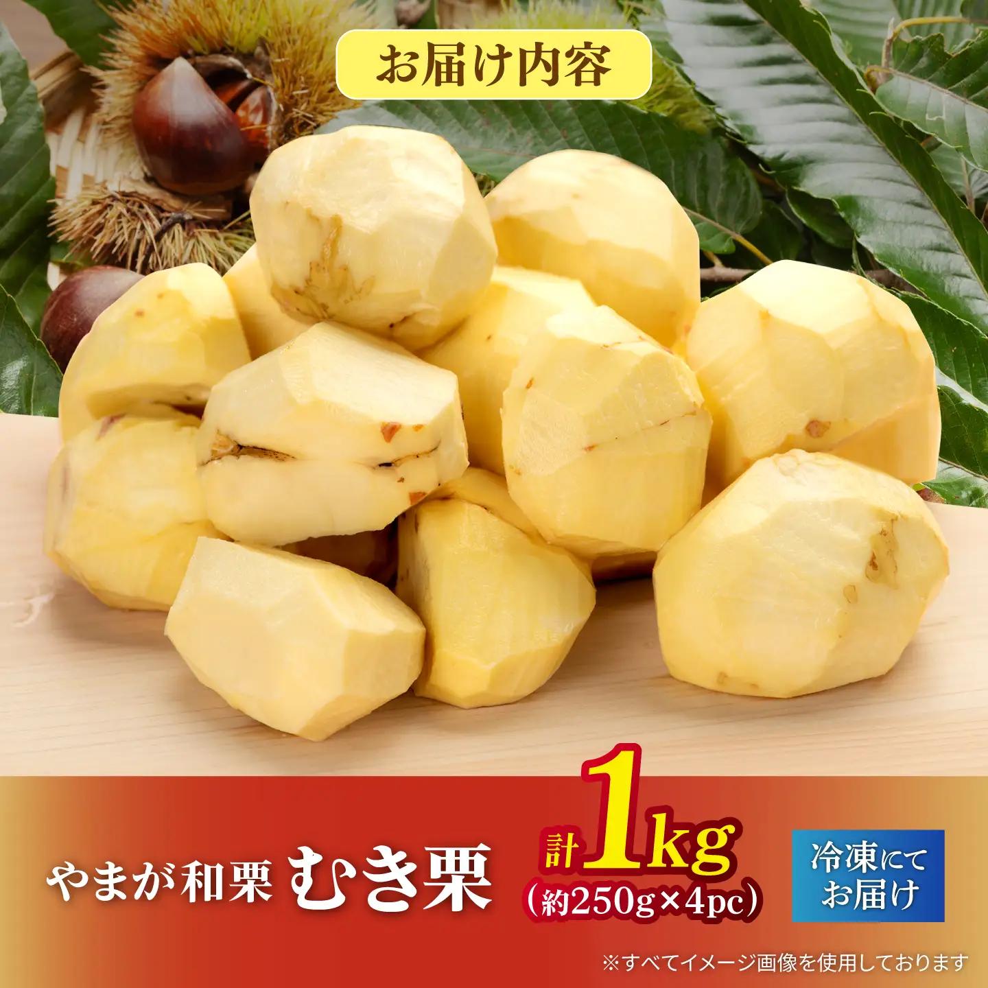 ＼生活応援よか値キャンペーン／ むき栗 約1kg 約250g×4pc  ZEP060-CP