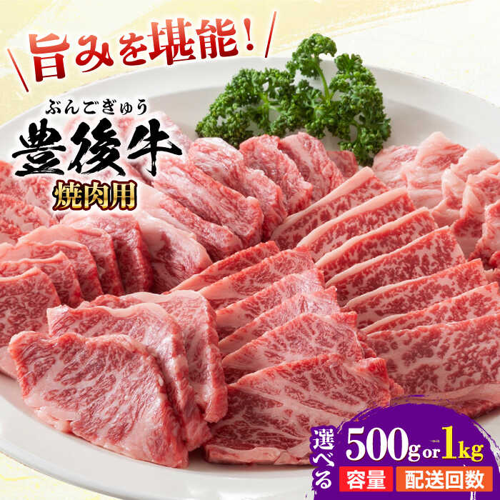 【ふるさと納税】【選べる容量・回数】おおいた豊後牛 焼肉用 500g/1kg おおいた豊後牛 豊後牛 黒毛和牛 国産 冷凍 和牛 霜降り 小分け 焼肉 焼肉用 バラ 肩ロース モモ 日田市 / 株式会社MEAT PLUS[AREI021-022,AREI098-103]