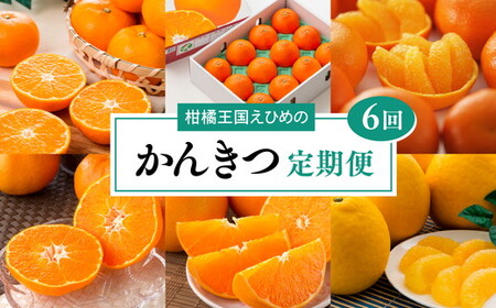 【愛媛県共通返礼品】【定期便】愛媛の柑橘定期便（全6回）（日の丸みかん・紅まどんな・いよかん・不知火（デコポン）・せとか・河内晩柑）◇ ※2026年11月～発送