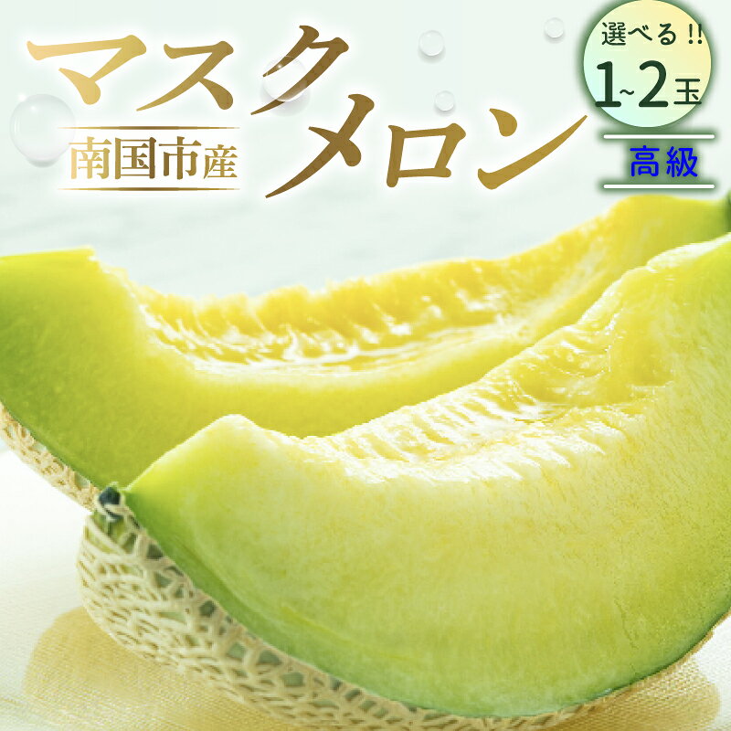 【ふるさと納税】 メロン マスクメロン 1個 2個 高級 1玉 2玉 贈答 フルーツ 果物 くだもの 食品 デザート ギフト 高評価 厳選 贈り物 人気 おすすめ 産地直送 ふるさと納税メロン ふるさと納税 めろん 西島園芸団地 高知県 南国市