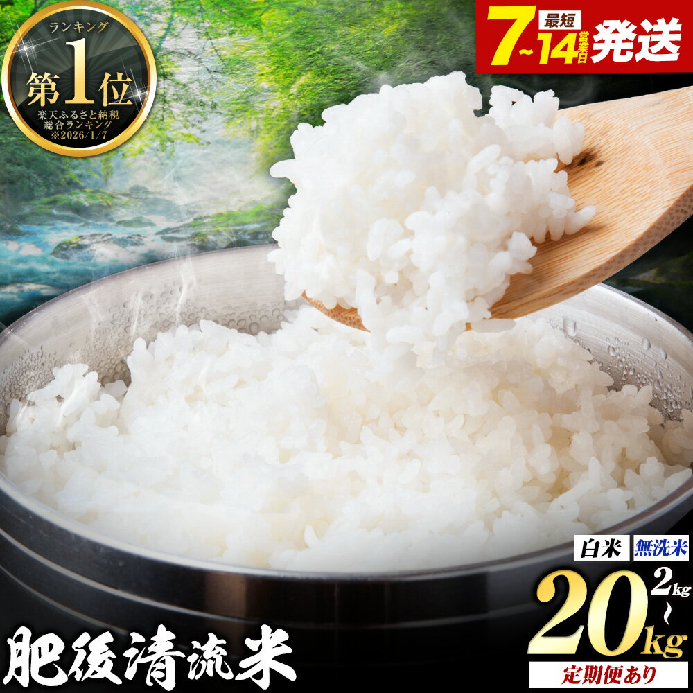 【ふるさと納税】米 選べる 定期便 肥後清流米 無洗米 白米 米 2kg 5kg 10kg 20kg ランキング 定期便あり 12ヶ月 熊本《出荷時期をお選びください》熊本県 菊池市 国産 熊本県産 白米 精米 無洗米 送料無料 こめ お米 ごはん 生活応援 ブレンド米 楽天スーパーセール