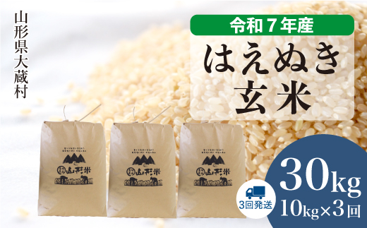 ＜令和7年産米＞ 令和8年1月上旬より発送 はえぬき【玄米】30kg 定期便 (10kg×3回)