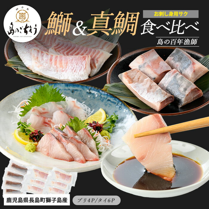 【ふるさと納税】＜百年漁師＞獅子島産 百年漁師の鰤 (約150g×4P) と真鯛 (約100g×6P) お刺身用サク食べ比べ【島のごちそう】gochi-1335